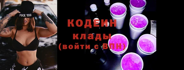 первитин Новодвинск