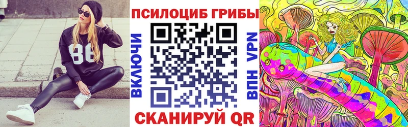где найти наркотики Лакинск Псилоцибиновые грибы GOLDEN TEACHER